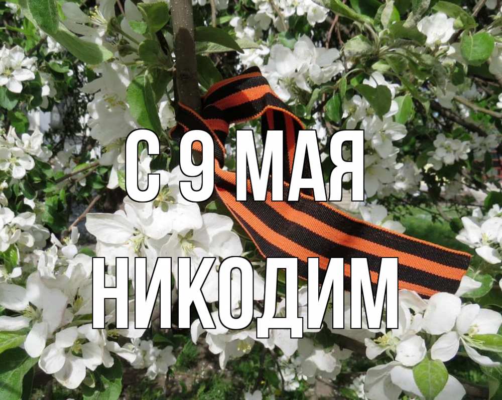 Открытка на каждый день с именем, Никодим С 9 мая 9 мая Прикольная открытка с пожеланием онлайн скачать бесплатно 