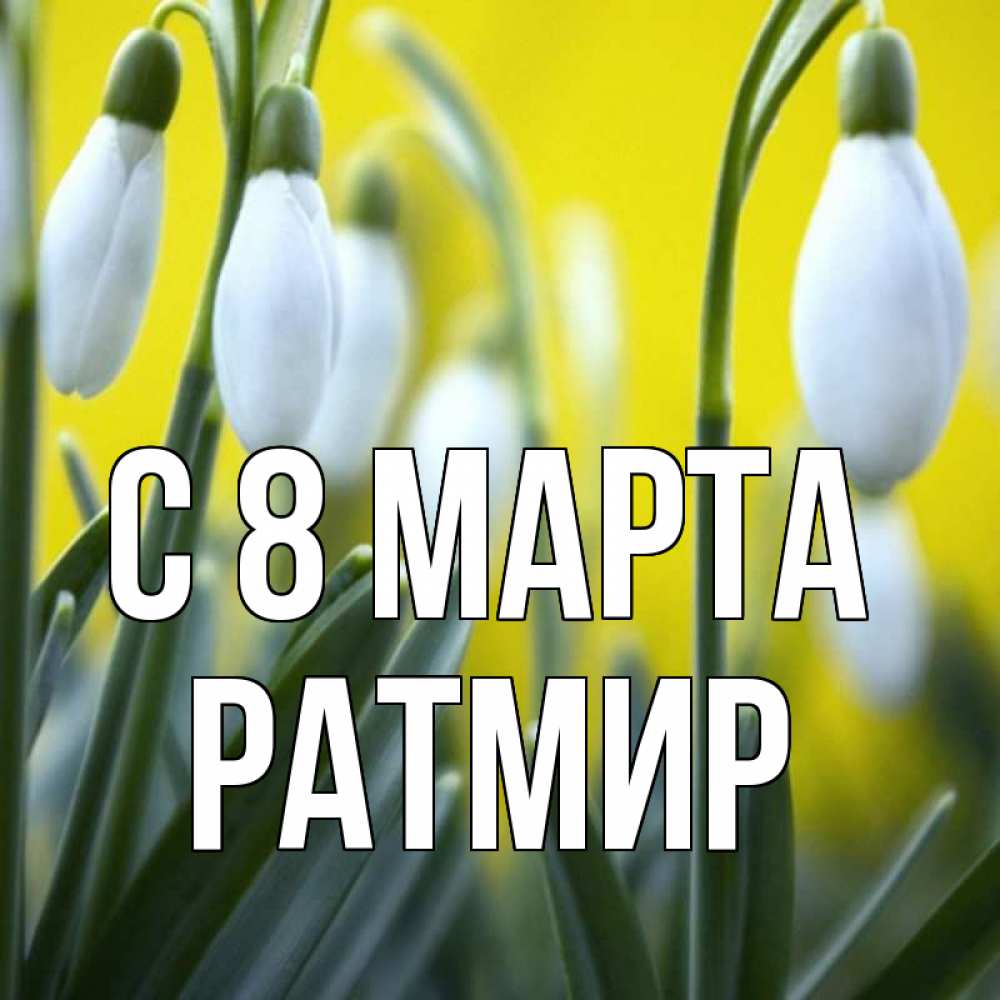 Открытка на каждый день с именем, Ратмир С 8 МАРТА весенние цветы Прикольная открытка с пожеланием онлайн скачать бесплатно 