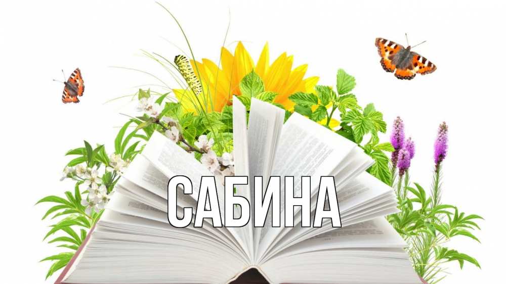 Открытка на каждый день с именем, Сабина Главная с днем учителя Прикольная открытка с пожеланием онлайн скачать бесплатно 