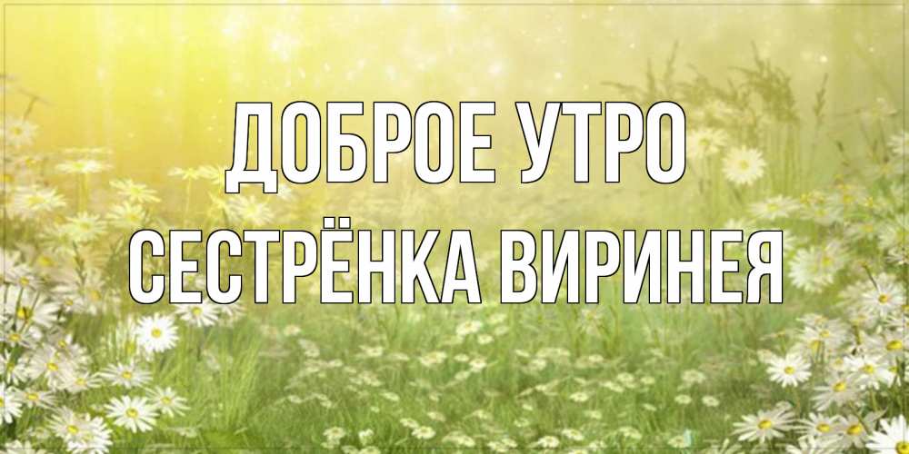 Открытка на каждый день с именем, Сестрёнка-Виринея Доброе утро доброе утро Прикольная открытка с пожеланием онлайн скачать бесплатно 
