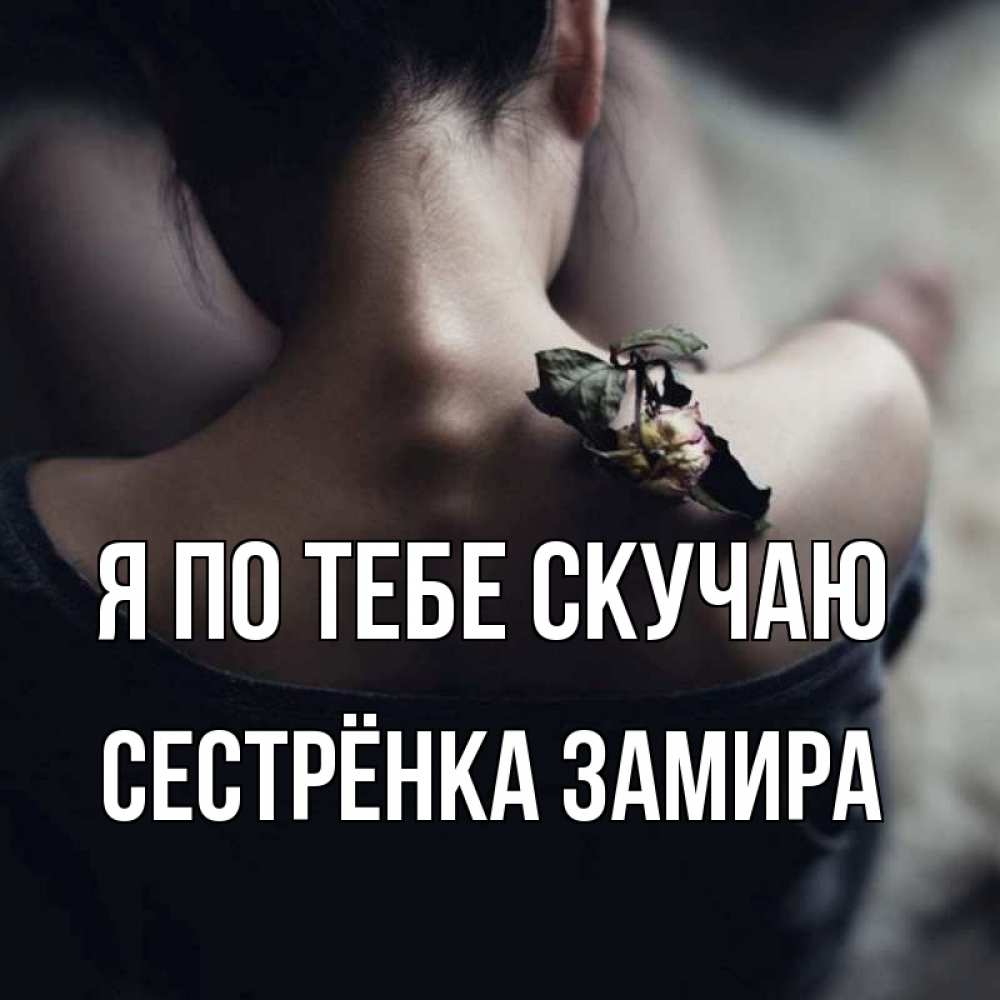Открытка на каждый день с именем, Сестрёнка-Замира Я по тебе скучаю засох цветок Прикольная открытка с пожеланием онлайн скачать бесплатно 