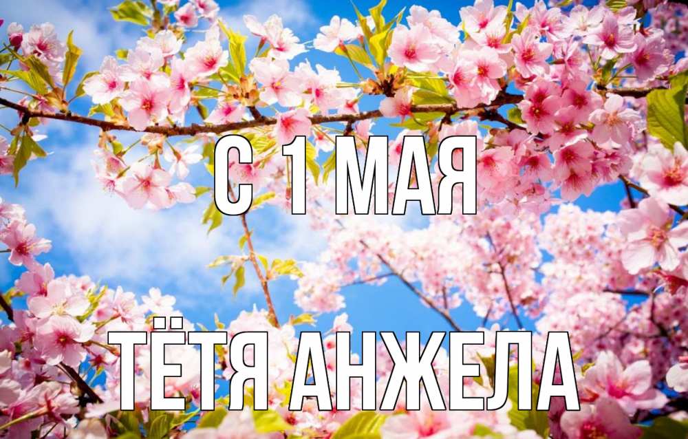 Открытка на каждый день с именем, Тётя-Анжела С 1 мая С 1 мая Прикольная открытка с пожеланием онлайн скачать бесплатно 