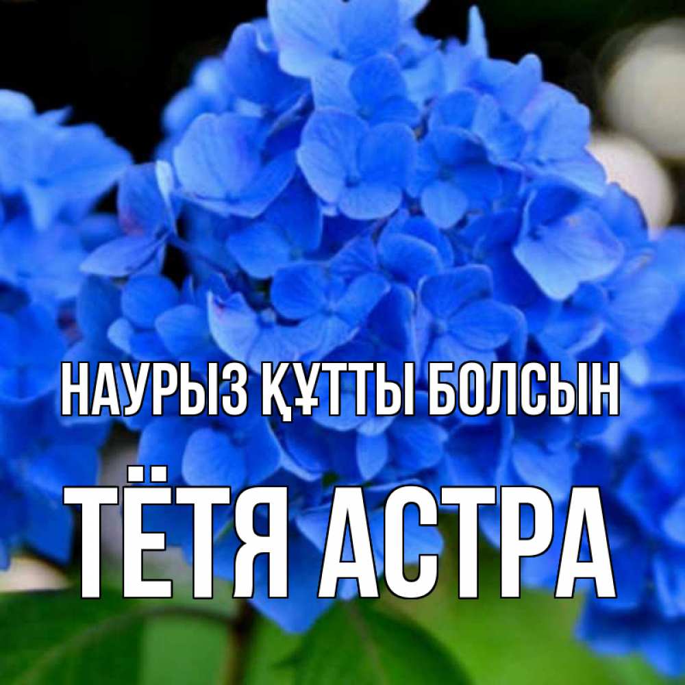 Открытка на каждый день с именем, Тётя-Астра Наурыз құтты болсын синие цветы Прикольная открытка с пожеланием онлайн скачать бесплатно 