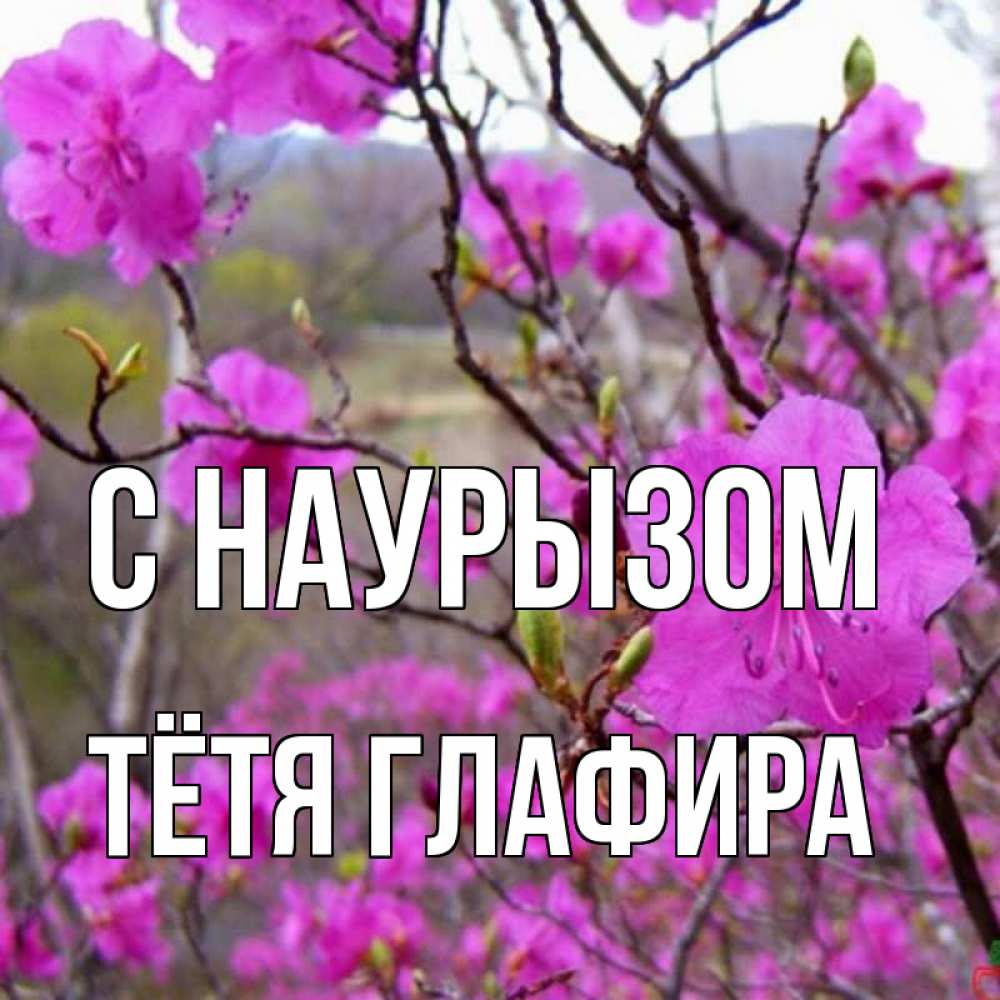 Открытка на каждый день с именем, Тётя-Глафира С наурызом праздник весны наурыз Прикольная открытка с пожеланием онлайн скачать бесплатно 