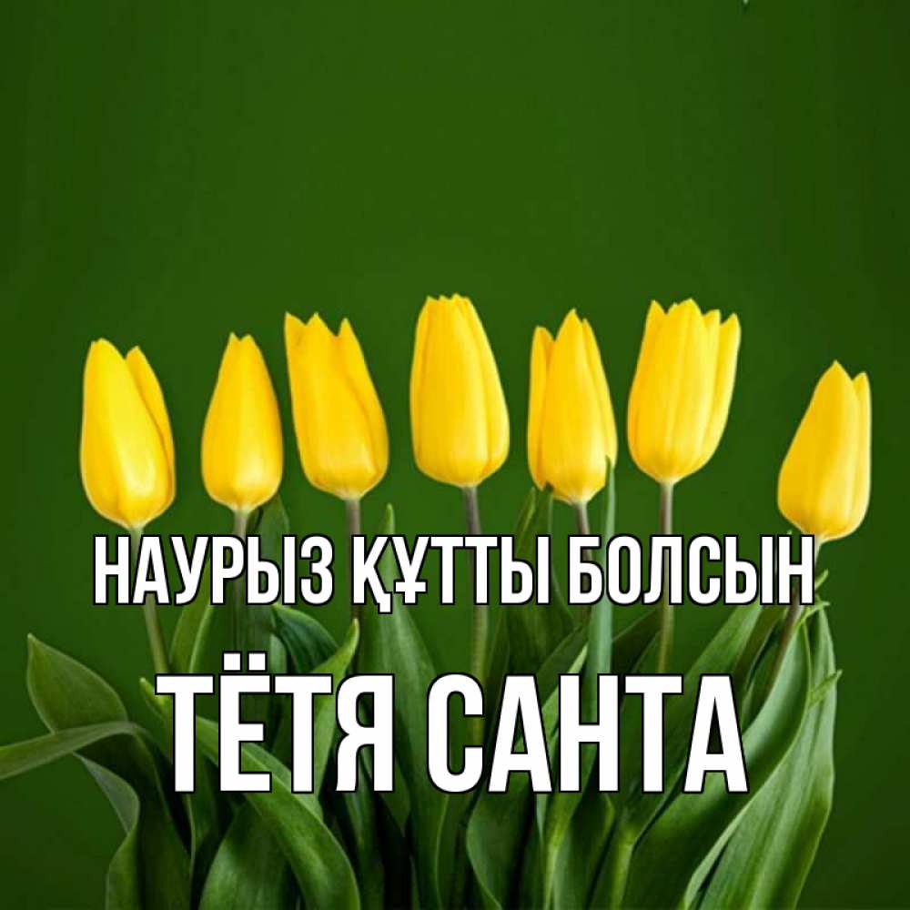 Открытка на каждый день с именем, Тётя-Санта Наурыз құтты болсын желтого цвета 3 Прикольная открытка с пожеланием онлайн скачать бесплатно 
