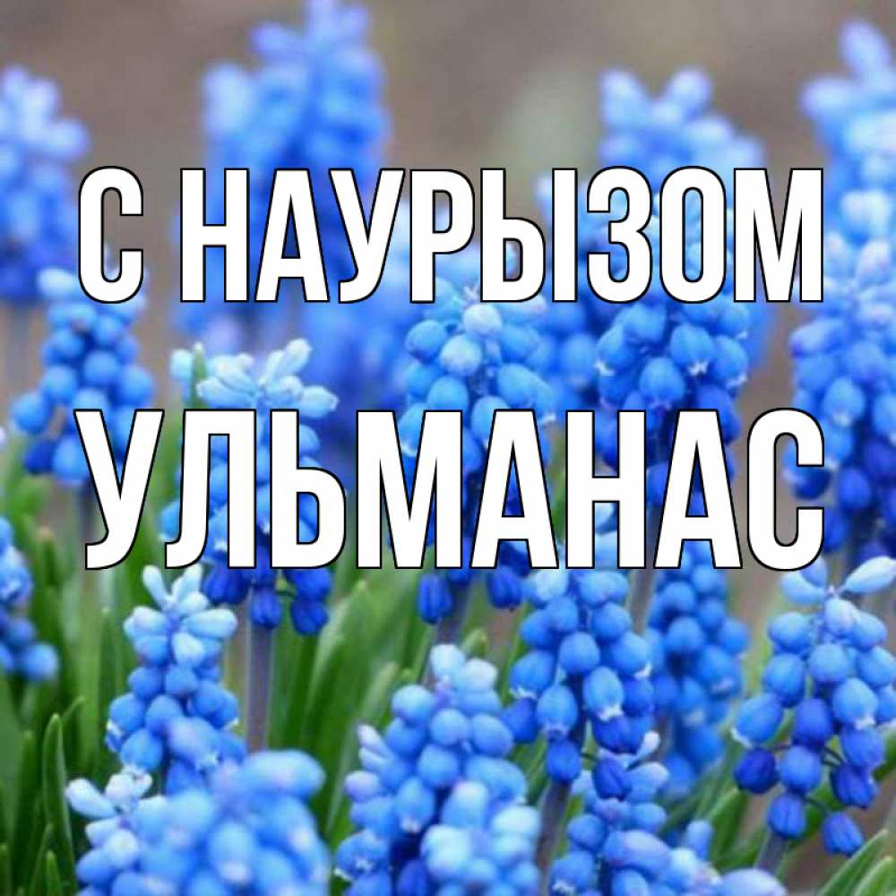 Открытка на каждый день с именем, Ульманас С наурызом Поздравительная открытка для женщин с цветами на праздничную дату Прикольная открытка с пожеланием онлайн скачать бесплатно 