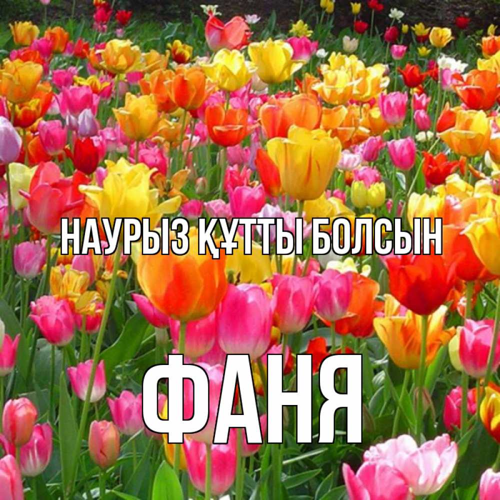 Открытка на каждый день с именем, Фаня Наурыз құтты болсын на наурыз  ура ура Прикольная открытка с пожеланием онлайн скачать бесплатно 