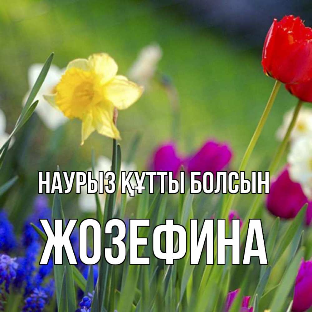 Открытка на каждый день с именем, Жозефина Наурыз құтты болсын наурыз  3 открытки Прикольная открытка с пожеланием онлайн скачать бесплатно 