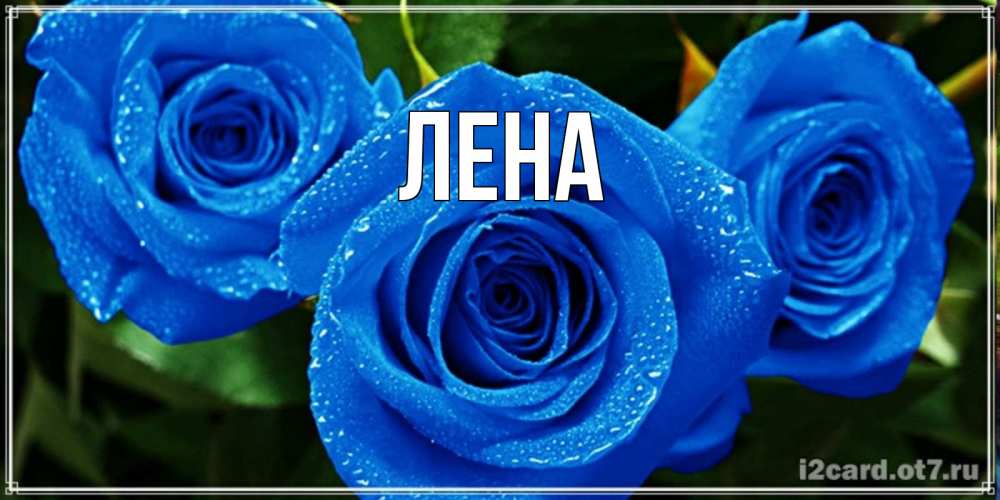 Открытка на каждый день с именем, Лена Главная розы с синим цветом Прикольная открытка с пожеланием онлайн скачать бесплатно 