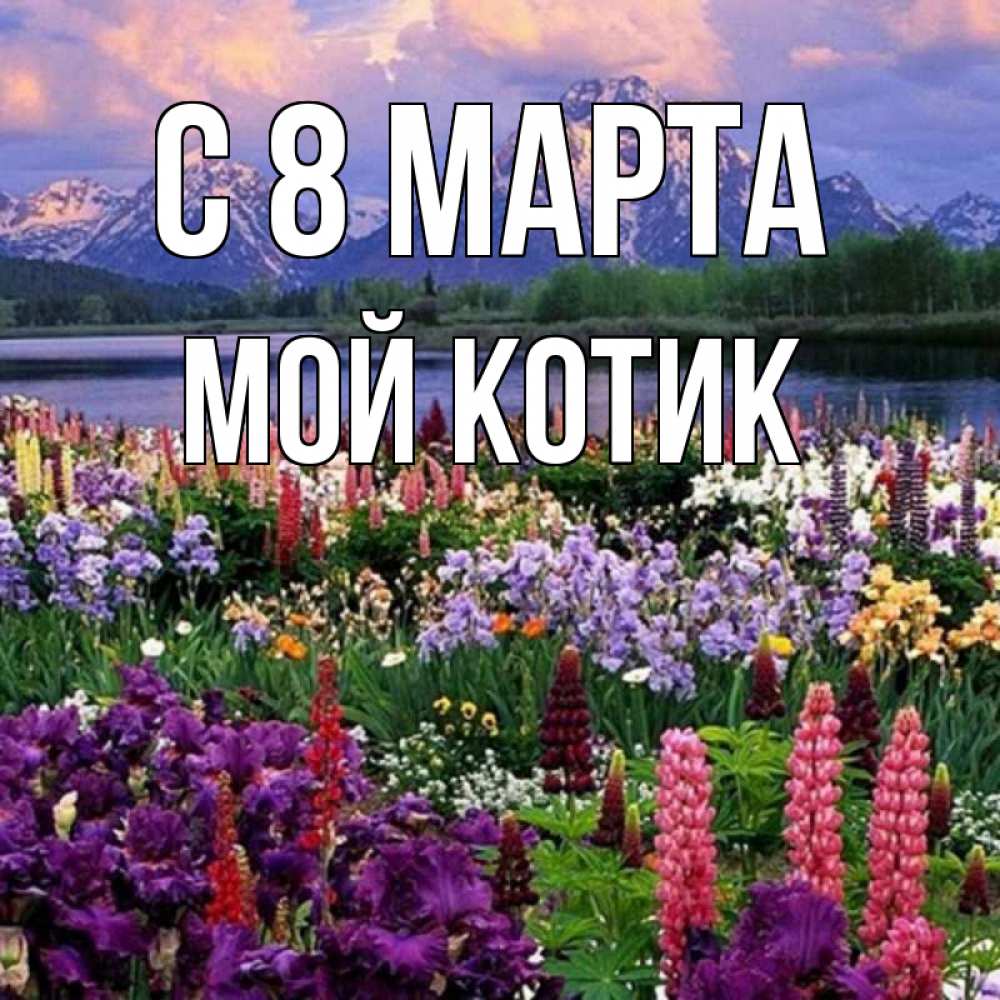 Открытка на каждый день с именем, мой-Котик С 8 МАРТА международный женский день Прикольная открытка с пожеланием онлайн скачать бесплатно 