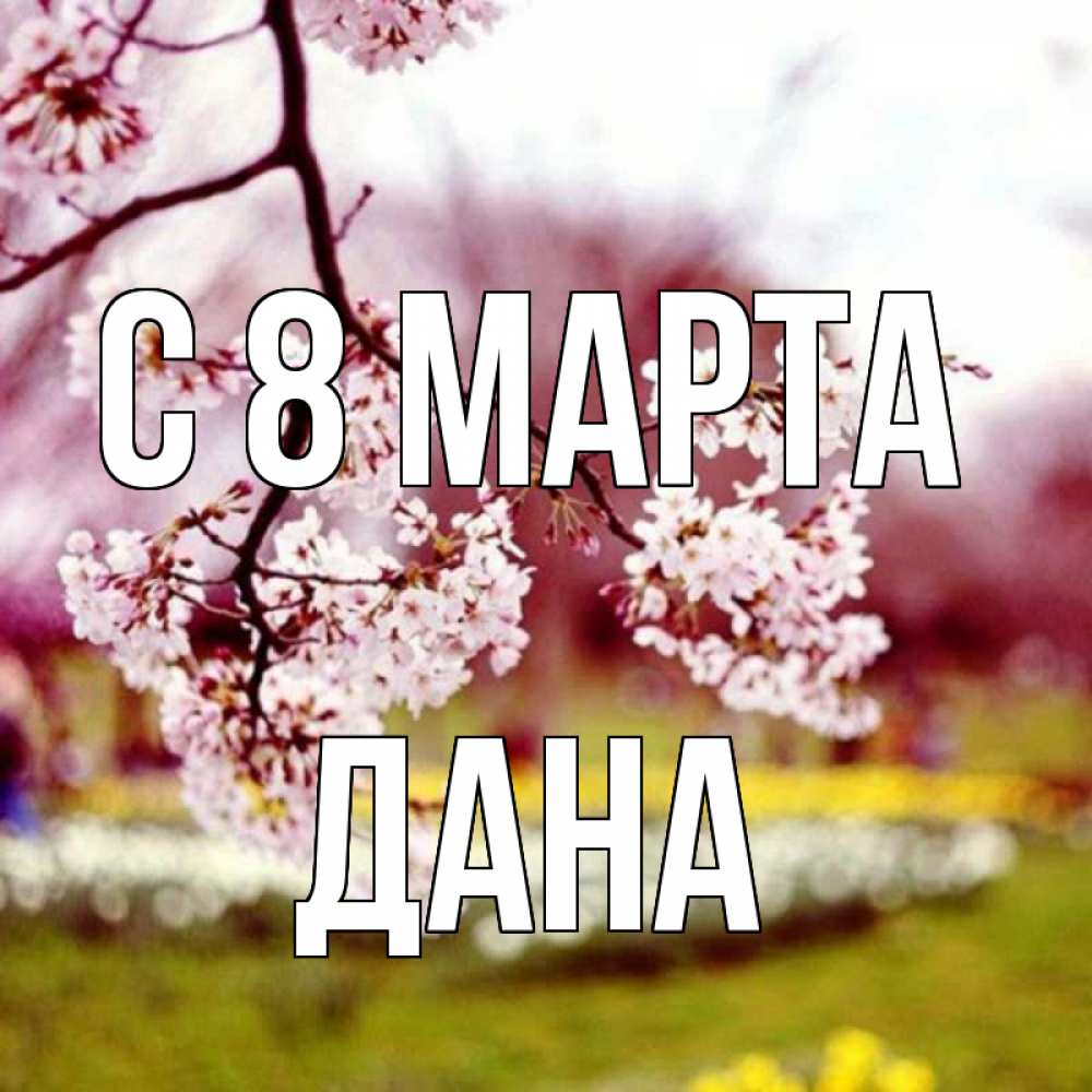 Открытка на каждый день с именем, Дана С 8 МАРТА яблоня Прикольная открытка с пожеланием онлайн скачать бесплатно 