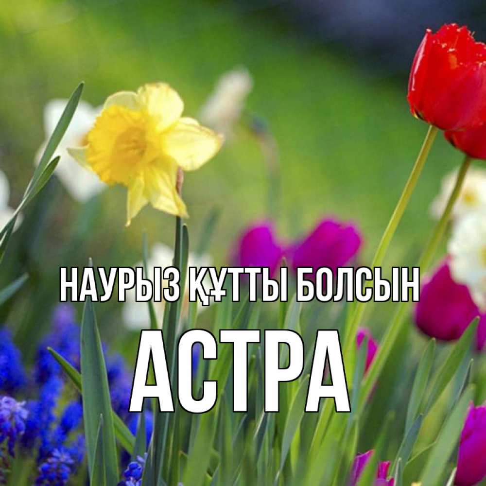 Открытка на каждый день с именем, Астра Наурыз құтты болсын наурыз  3 открытки Прикольная открытка с пожеланием онлайн скачать бесплатно 