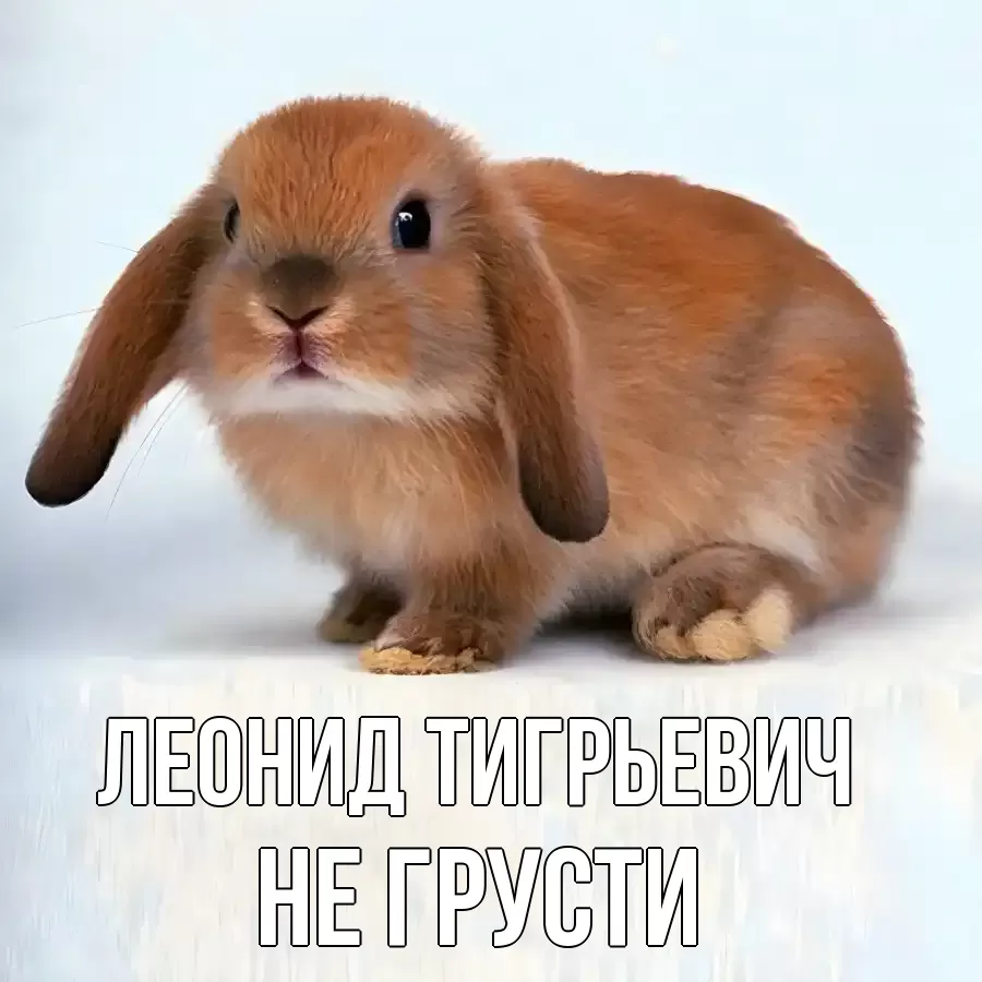 Картинка Не грусти, Леонид Тигрьевич