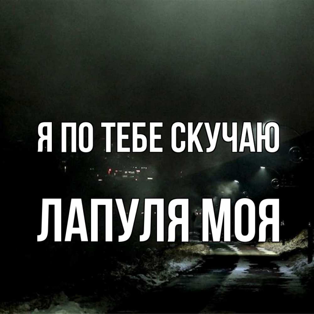 Смешные картинки, картинки лапуля я скучаю по тебе