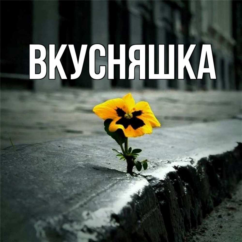 Открытка на каждый день с именем, Вкусняшка Главная не сдавайся Прикольная открытка с пожеланием онлайн скачать бесплатно 