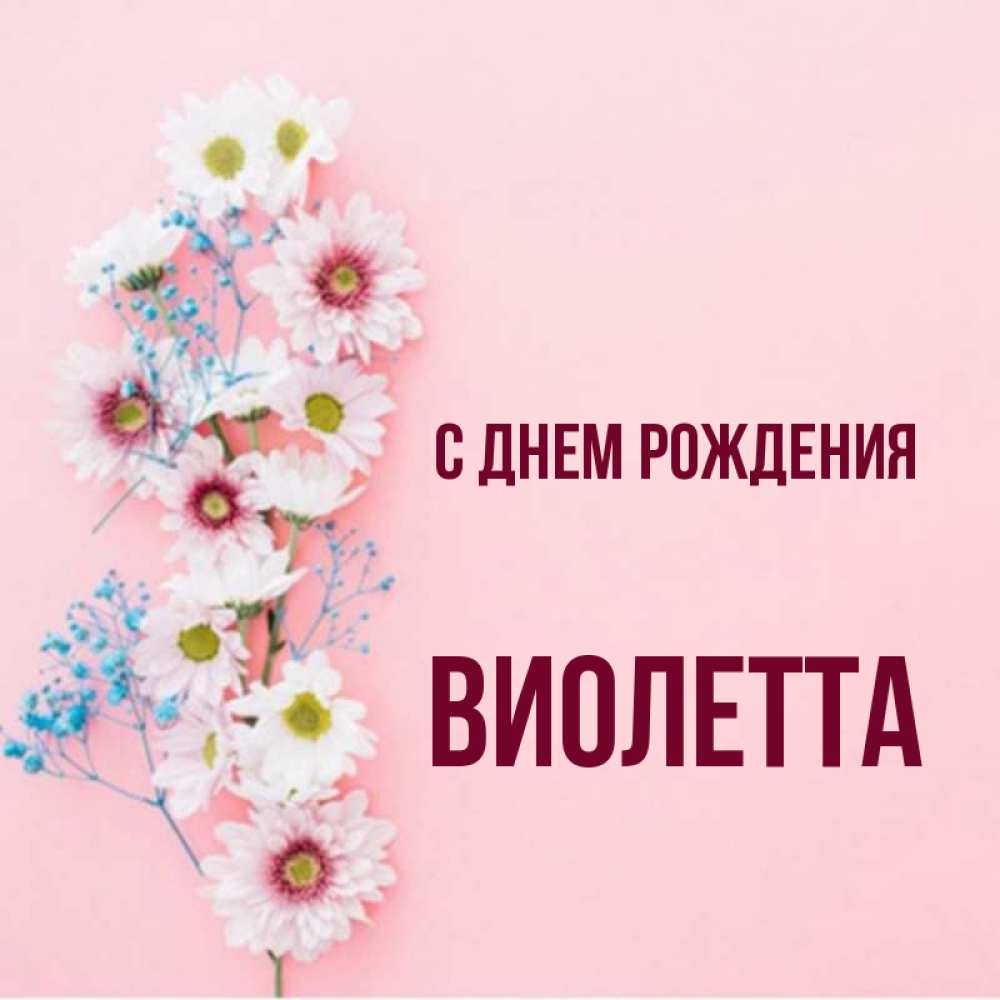 Торты с именем виолетта