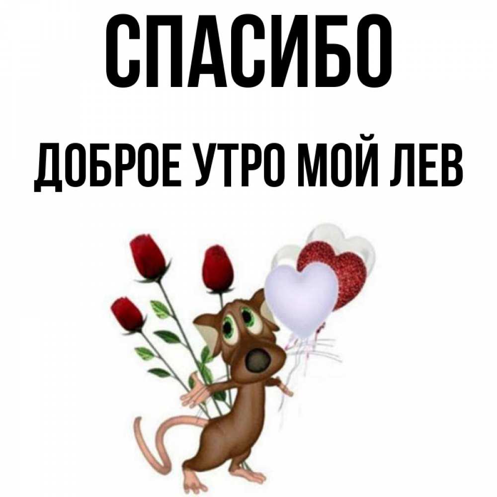 Картинки доброе утро мой лев