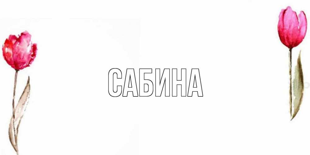 Открытка на каждый день с именем, Сабина Главная Открытки на день всех влюбленных с тюльпанами акварелью Прикольная открытка с пожеланием онлайн скачать бесплатно 
