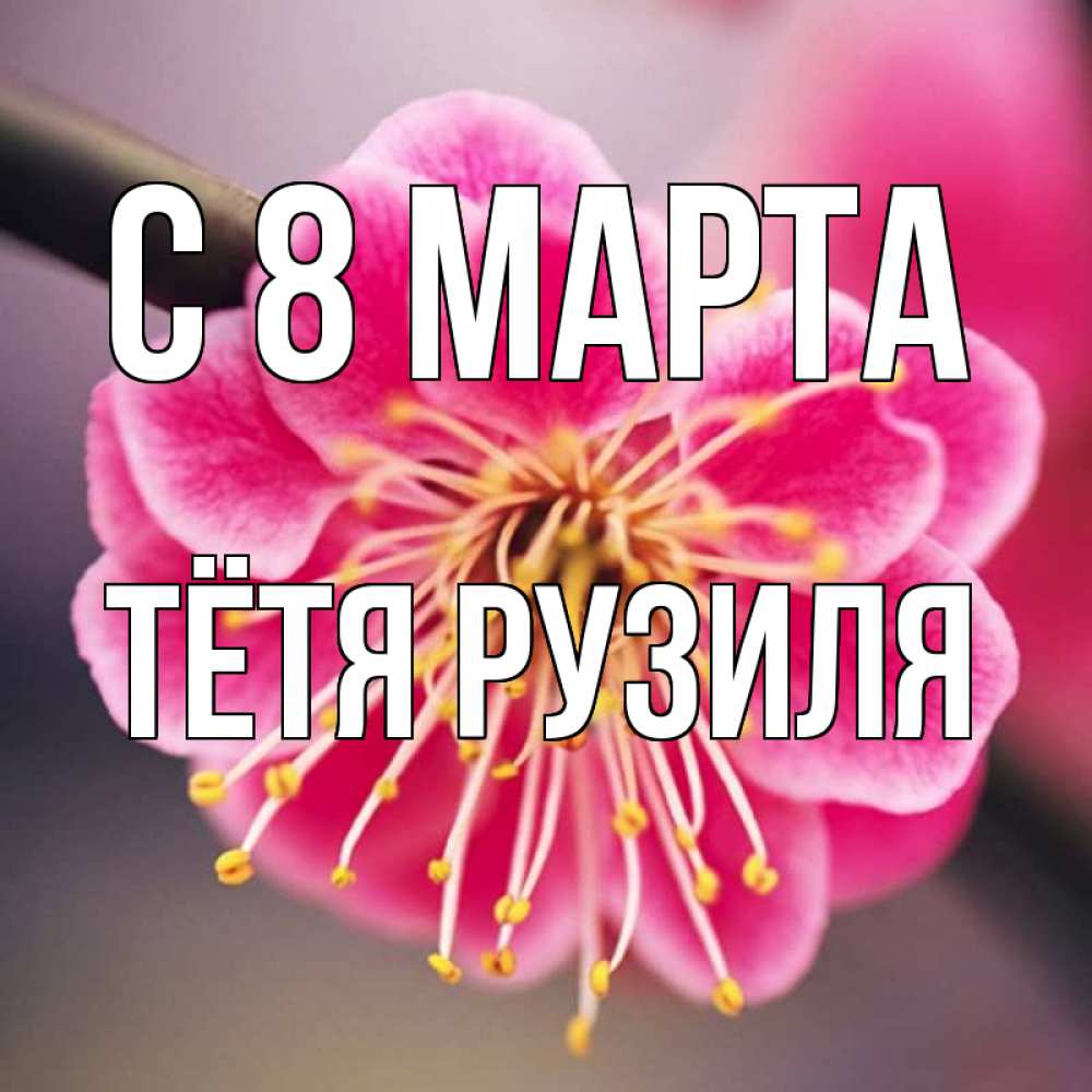 Открытка на каждый день с именем, Тётя-Рузиля С 8 МАРТА цветы Прикольная открытка с пожеланием онлайн скачать бесплатно 