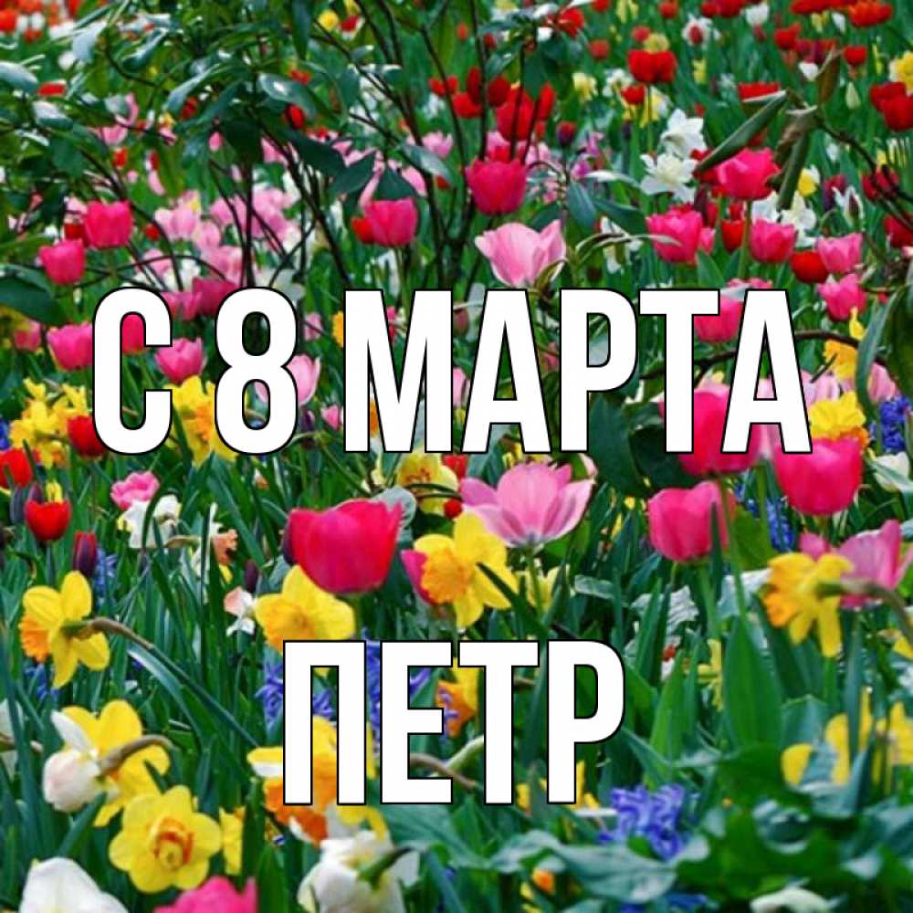 Открытка на каждый день с именем, Петр С 8 МАРТА с международным женским днем поздравления для женщины Прикольная открытка с пожеланием онлайн скачать бесплатно 