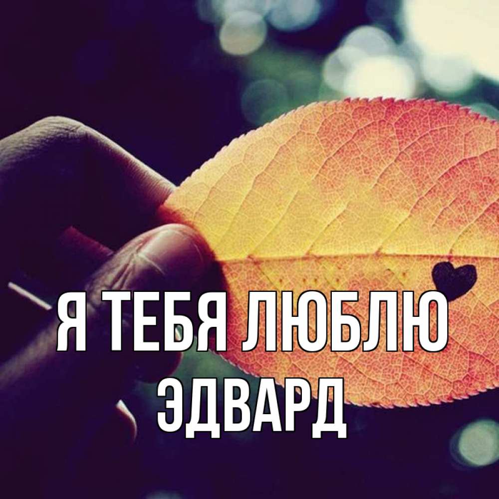 Открытка на каждый день с именем, Эдвард Я тебя люблю держу лист Прикольная открытка с пожеланием онлайн скачать бесплатно 