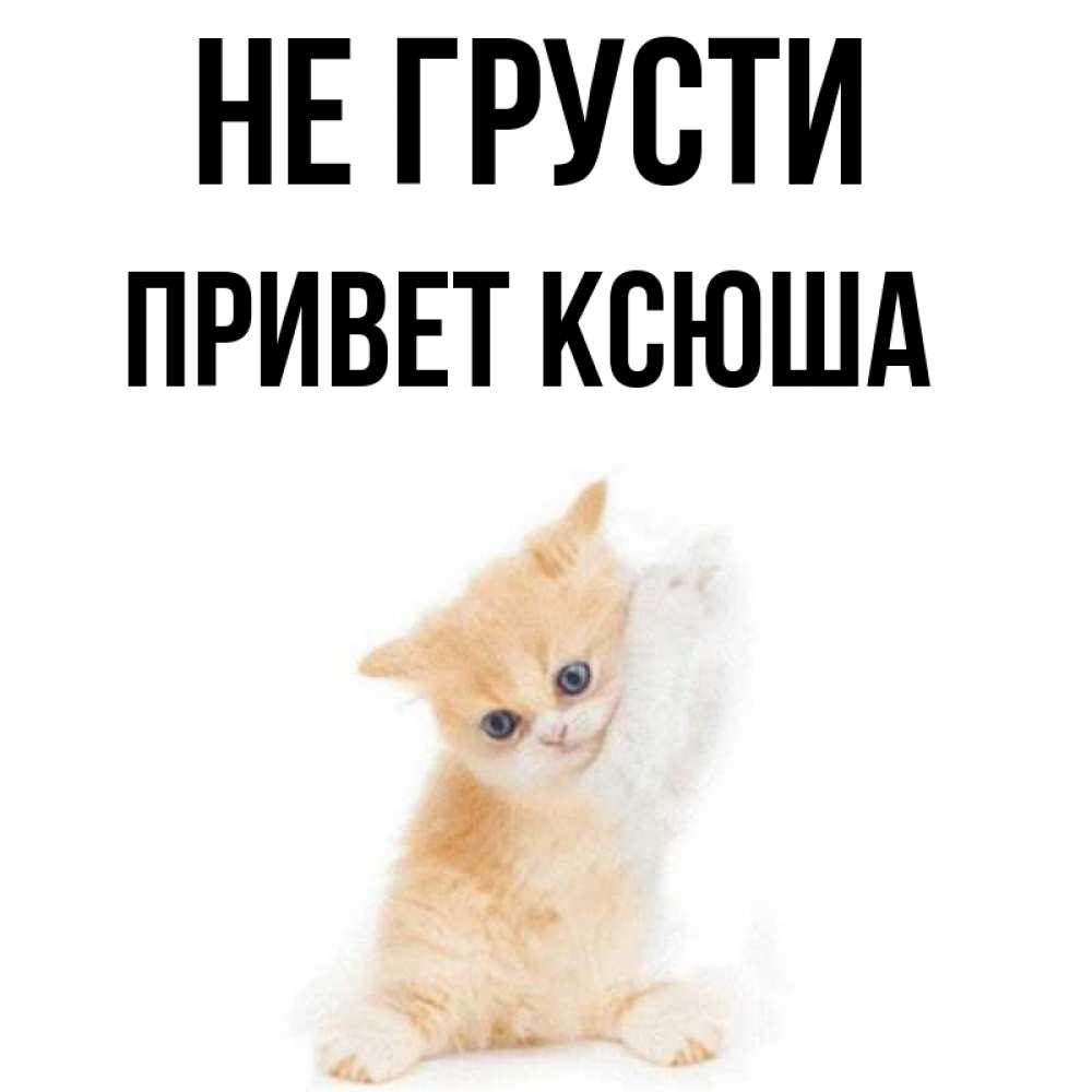 Ксюша привет картинки