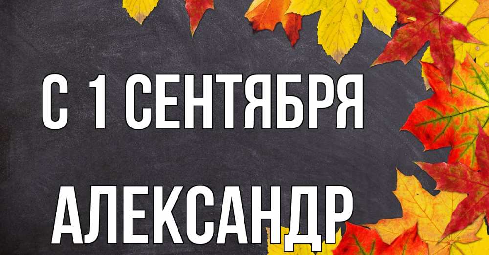 Открытка на каждый день с именем, Александр С 1 сентября с днем знаний Прикольная открытка с пожеланием онлайн скачать бесплатно 