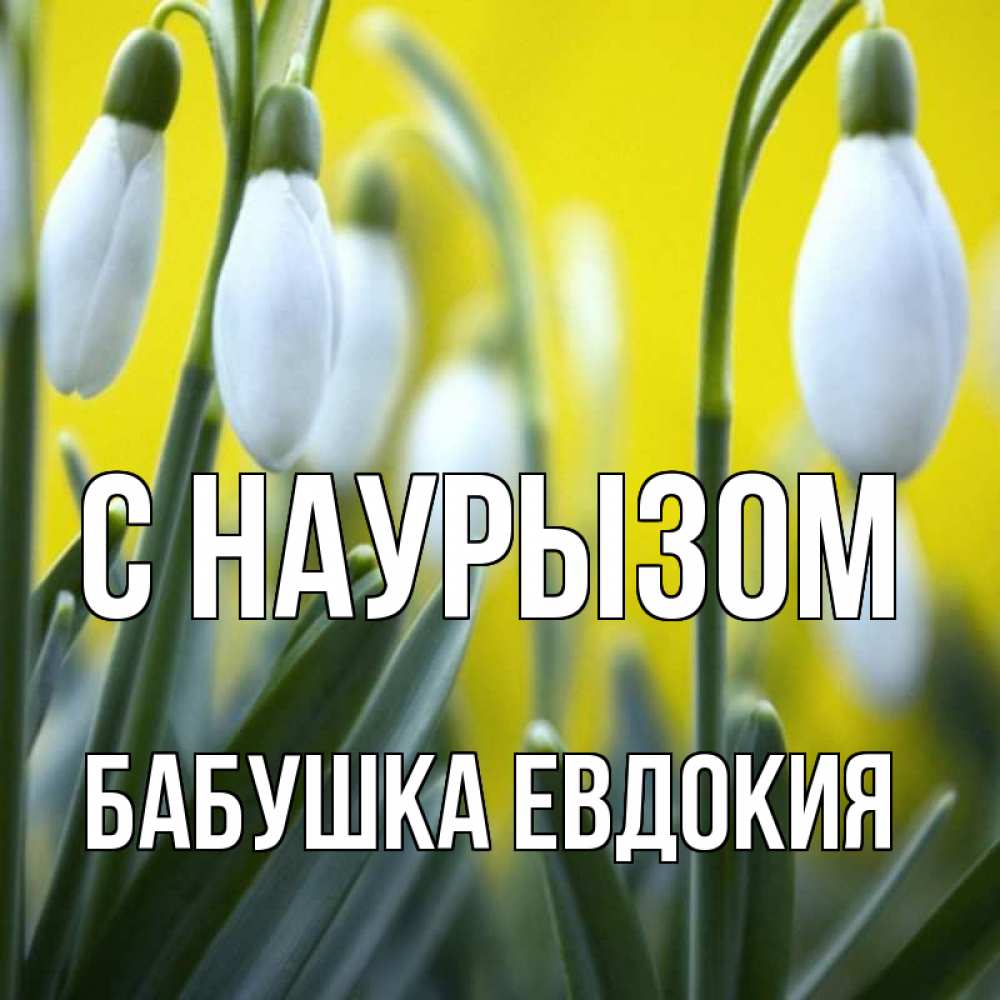 Открытка на каждый день с именем, Бабушка-Евдокия С наурызом весенние цветы Прикольная открытка с пожеланием онлайн скачать бесплатно 
