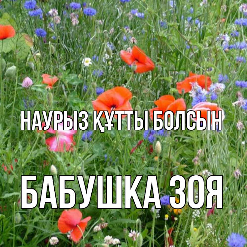 Открытка на каждый день с именем, Бабушка-Зоя Наурыз құтты болсын наурыз  4 Прикольная открытка с пожеланием онлайн скачать бесплатно 