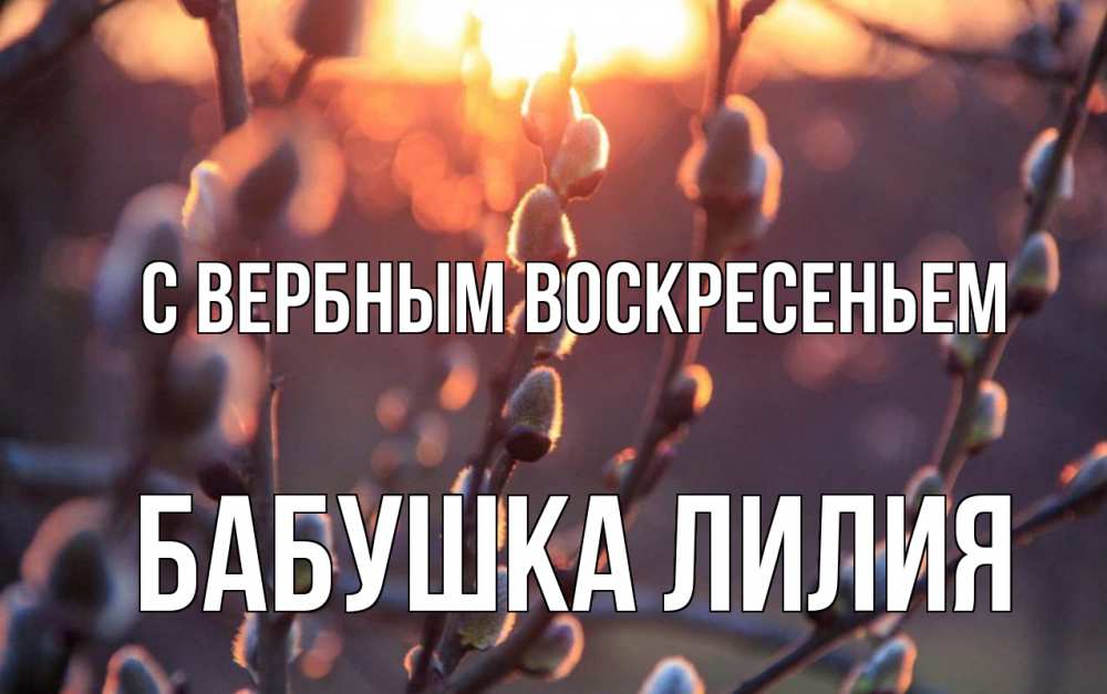 Открытка на каждый день с именем, Бабушка-Лилия С вербным воскресеньем верба Прикольная открытка с пожеланием онлайн скачать бесплатно 