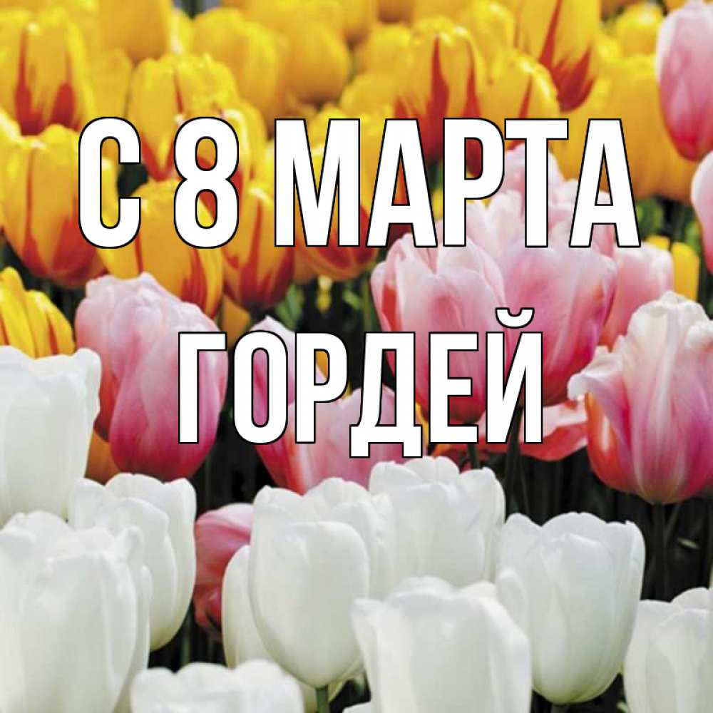 Картинка С 8 МАРТА, Гордей