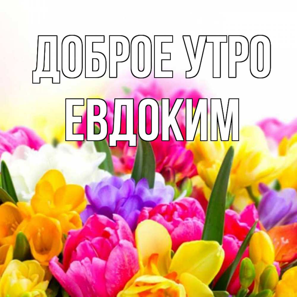Открытка на каждый день с именем, Евдоким Доброе утро создать открытку со свое подписью Прикольная открытка с пожеланием онлайн скачать бесплатно 