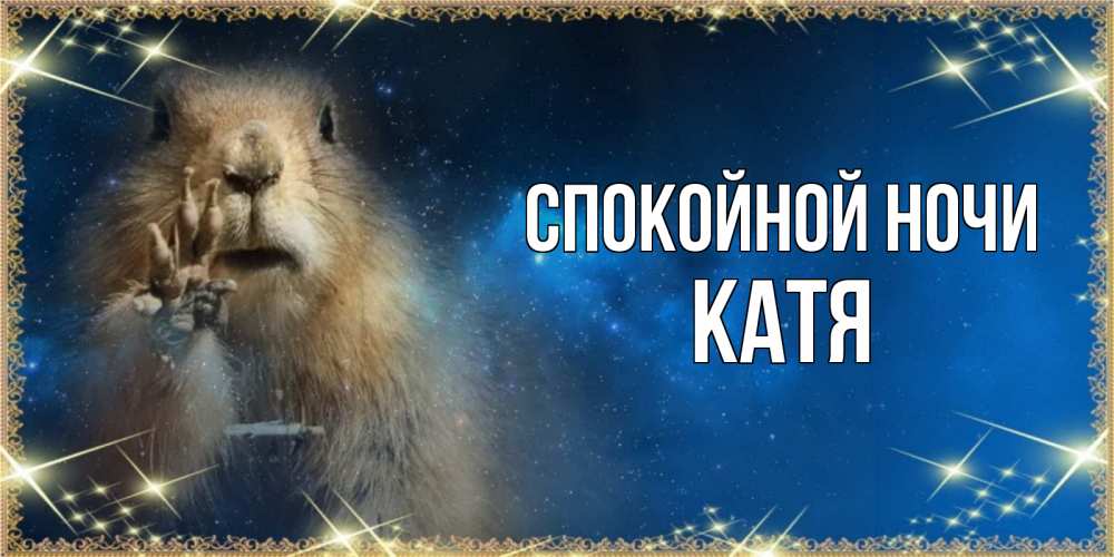 Открытка на каждый день с именем, КАТЯ Спокойной ночи спокойной ночи сладких снов Прикольная открытка с пожеланием онлайн скачать бесплатно 