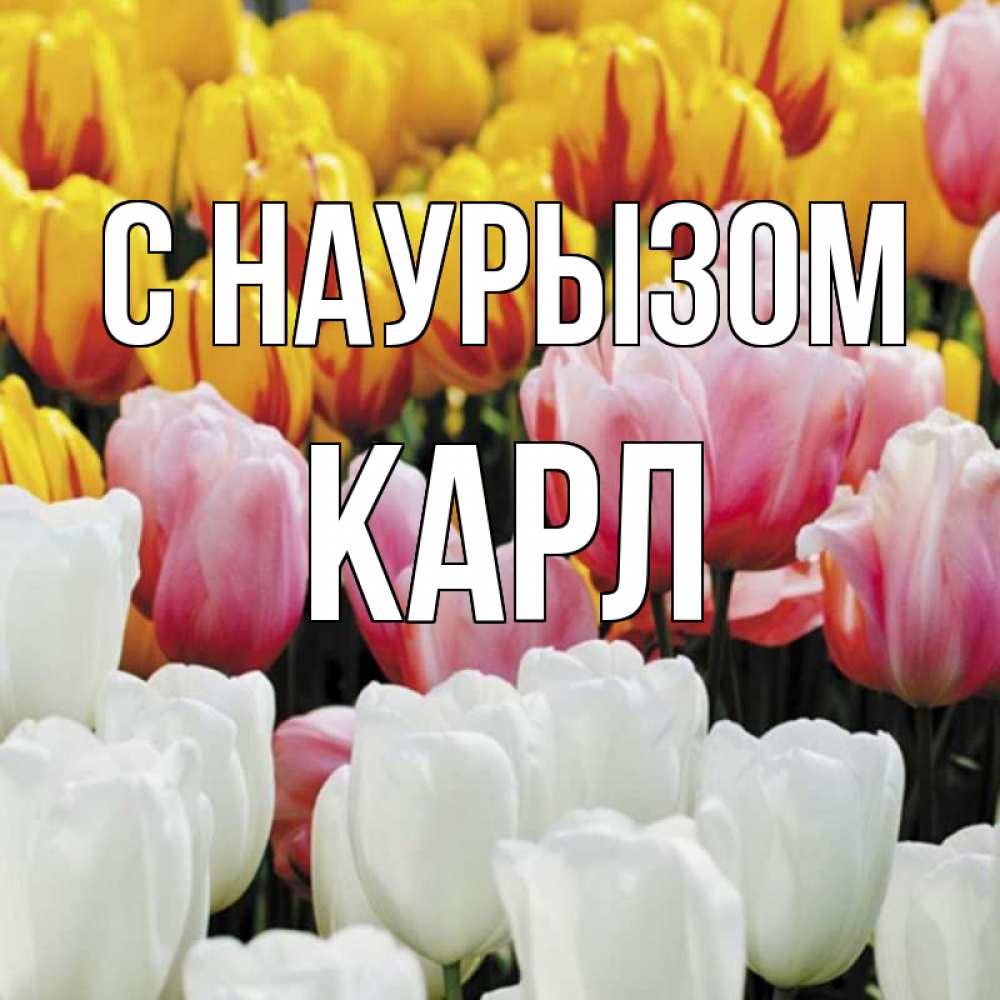 Открытка на каждый день с именем, Карл С наурызом разноцветные цветы Прикольная открытка с пожеланием онлайн скачать бесплатно 