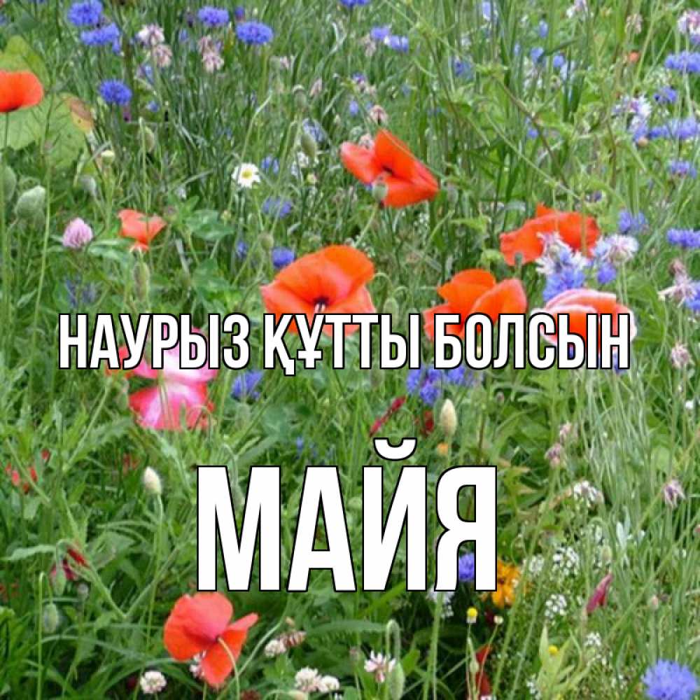 Открытка на каждый день с именем, Майя Наурыз құтты болсын наурыз  4 Прикольная открытка с пожеланием онлайн скачать бесплатно 