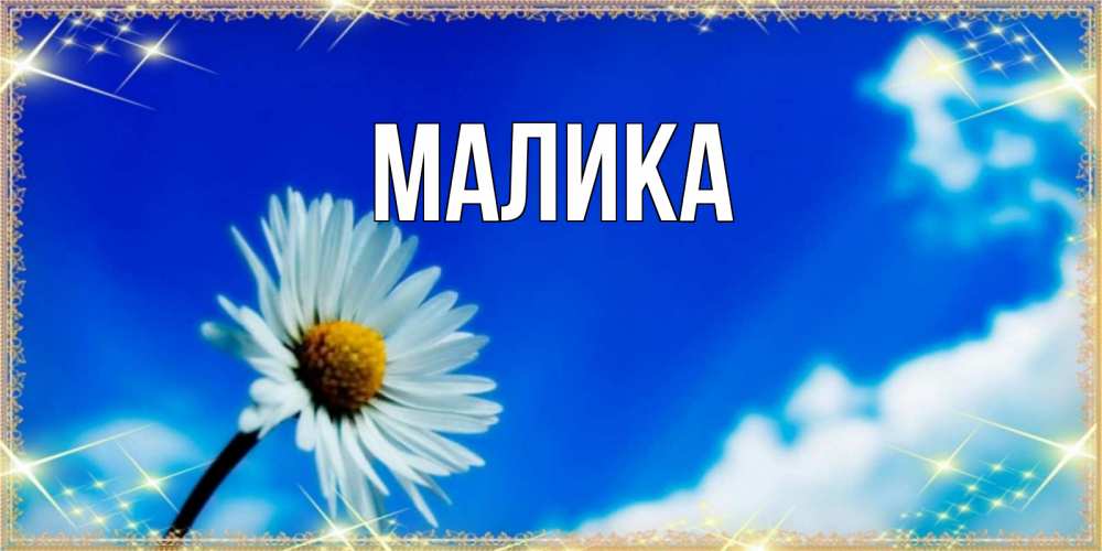 Открытка на каждый день с именем, Малика Главная красивая открытка в синих тонах Прикольная открытка с пожеланием онлайн скачать бесплатно 