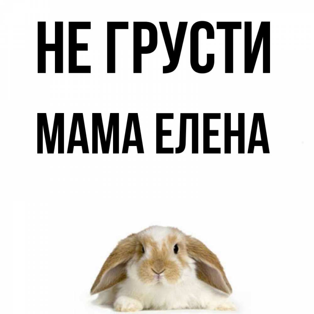 Открытка на каждый день с именем, Мама-Елена Не грусти коричнево белый заяц с большими ушками Прикольная открытка с пожеланием онлайн скачать бесплатно 