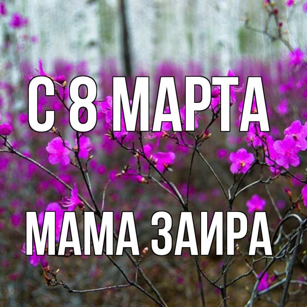 Открытка на каждый день с именем, Мама-Заира С 8 марта дикие цветы Прикольная открытка с пожеланием онлайн скачать бесплатно 