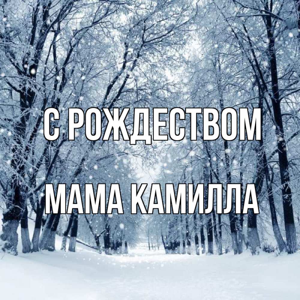 Открытка на каждый день с именем, Мама-Камилла С рождеством снег, лес, парк Прикольная открытка с пожеланием онлайн скачать бесплатно 