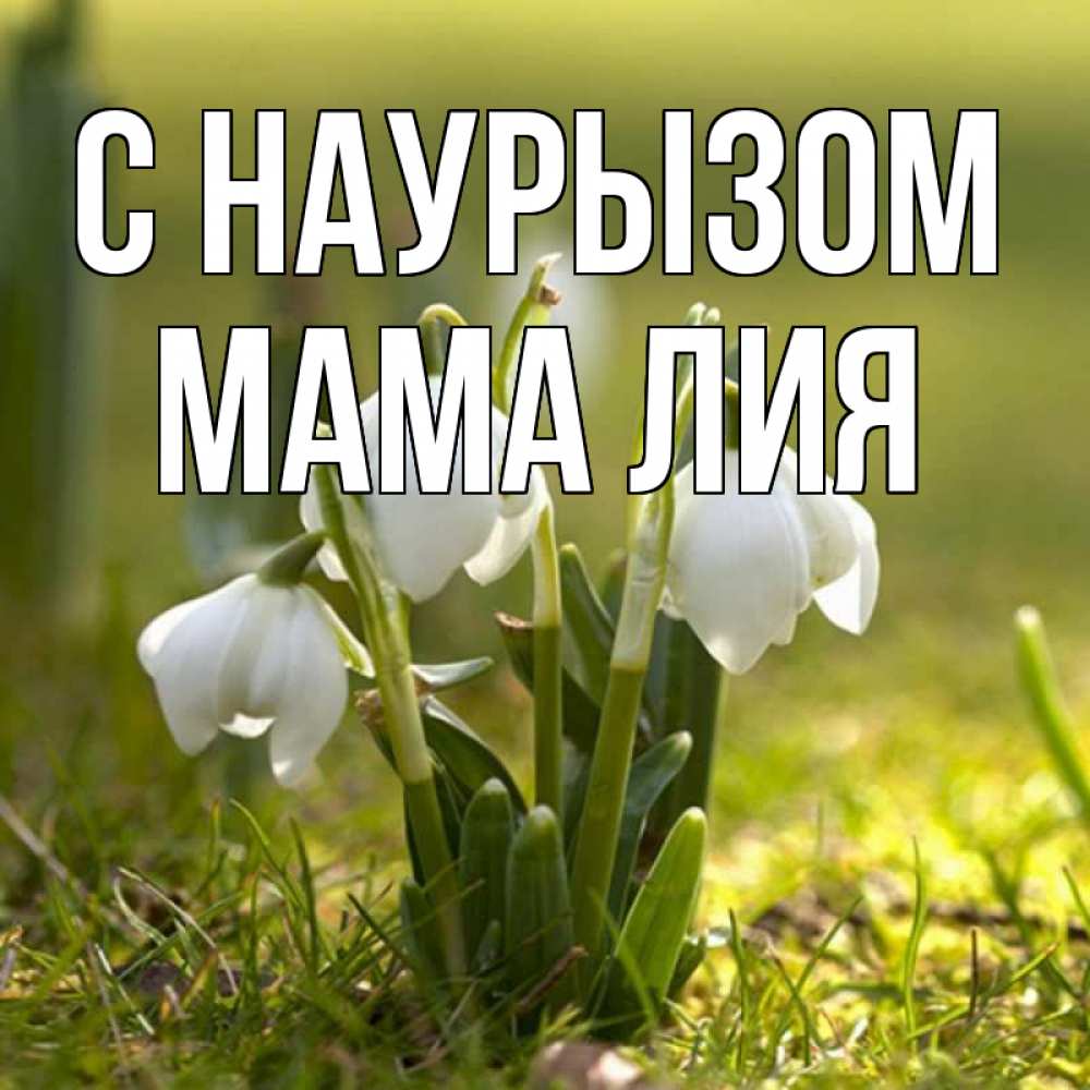 Открытка на каждый день с именем, Мама-Лия С наурызом ранние цветы 2 Прикольная открытка с пожеланием онлайн скачать бесплатно 