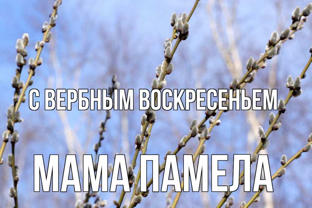 Открытка на каждый день с именем, Мама-Памела С вербным воскресеньем верба Прикольная открытка с пожеланием онлайн скачать бесплатно 