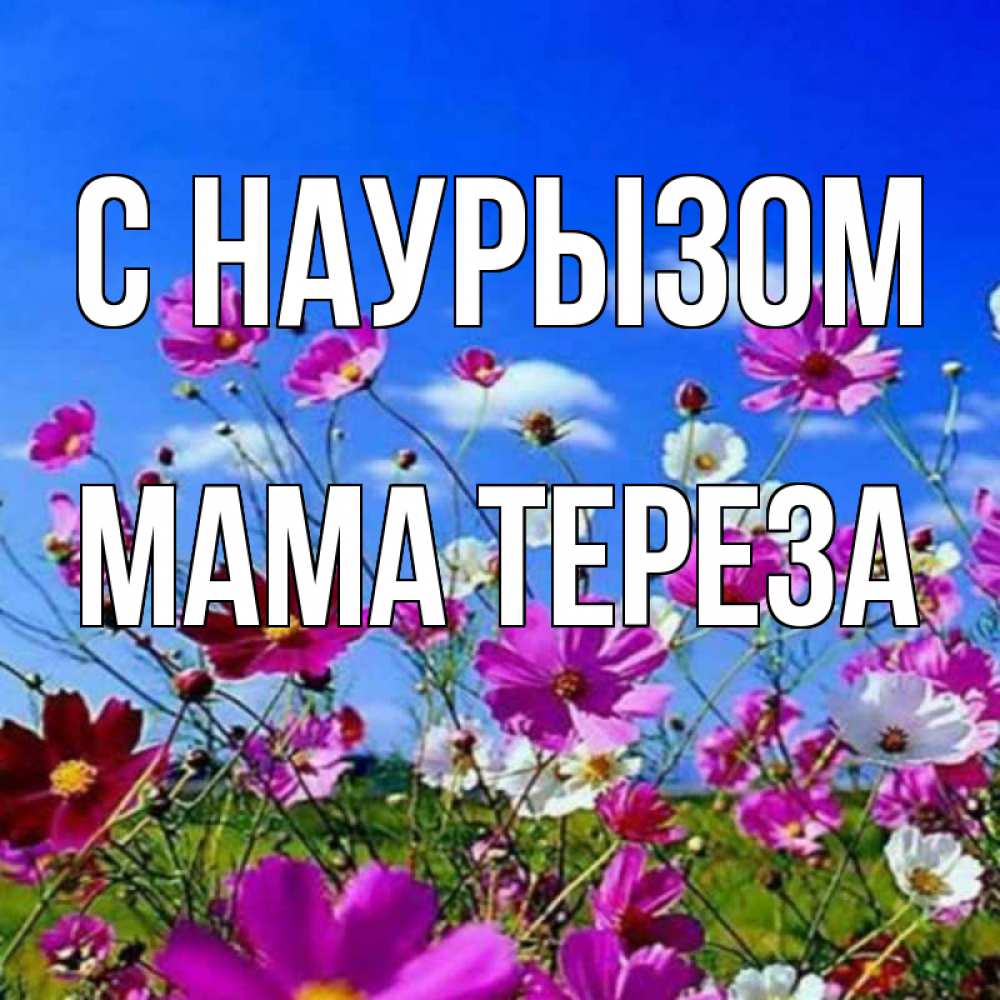 Открытка на каждый день с именем, Мама-Тереза С наурызом цветы Прикольная открытка с пожеланием онлайн скачать бесплатно 