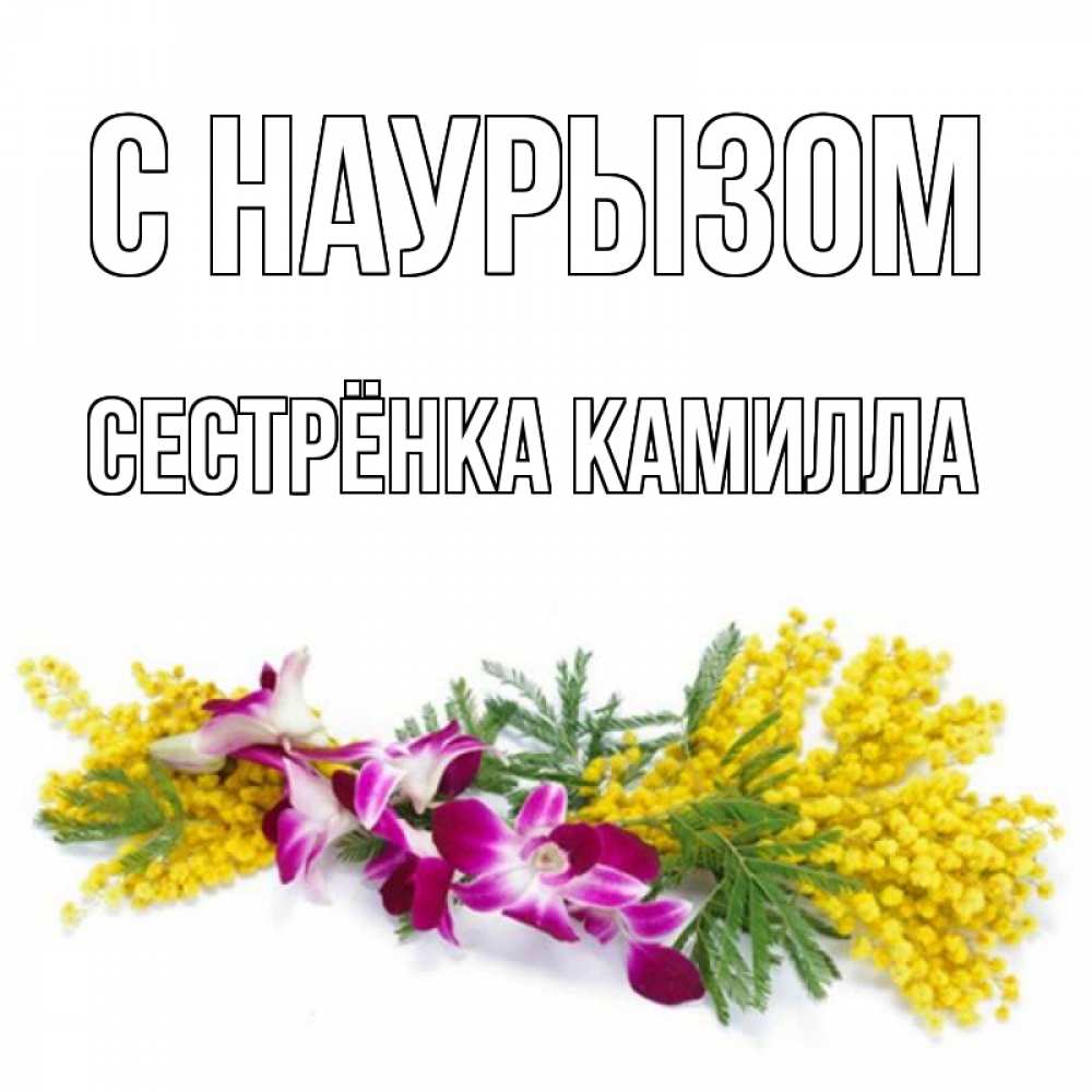 Открытка на каждый день с именем, Сестрёнка-Камилла С наурызом открытка на международный женский день с цветами  1 Прикольная открытка с пожеланием онлайн скачать бесплатно 