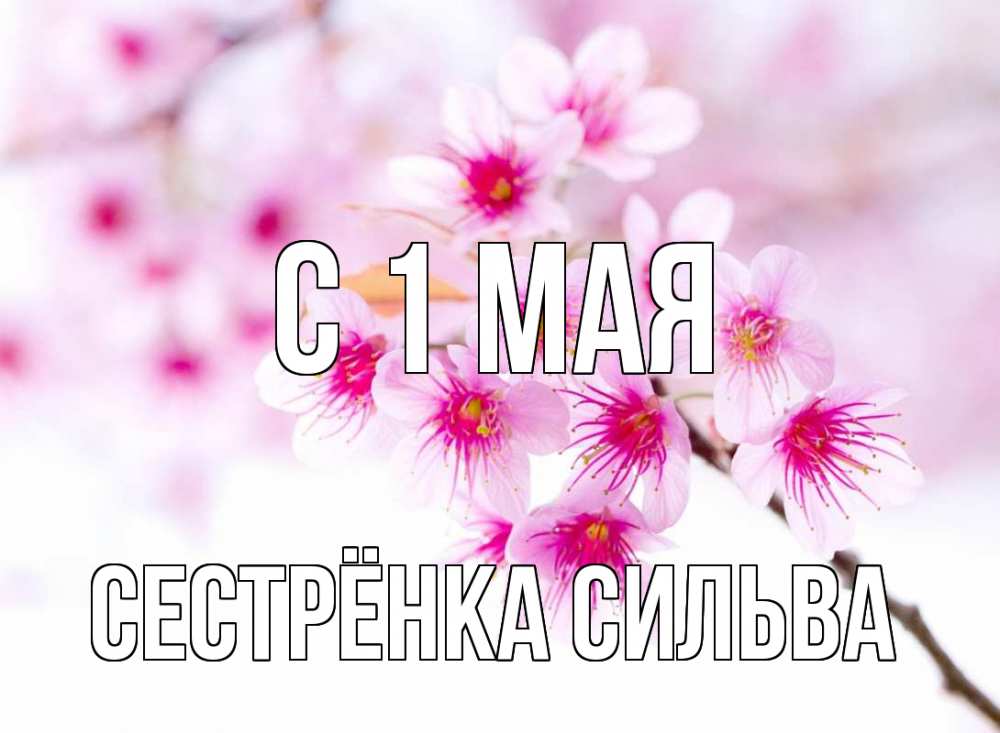 Открытка на каждый день с именем, Сестрёнка-Сильва С 1 мая С 1 мая 2 Прикольная открытка с пожеланием онлайн скачать бесплатно 