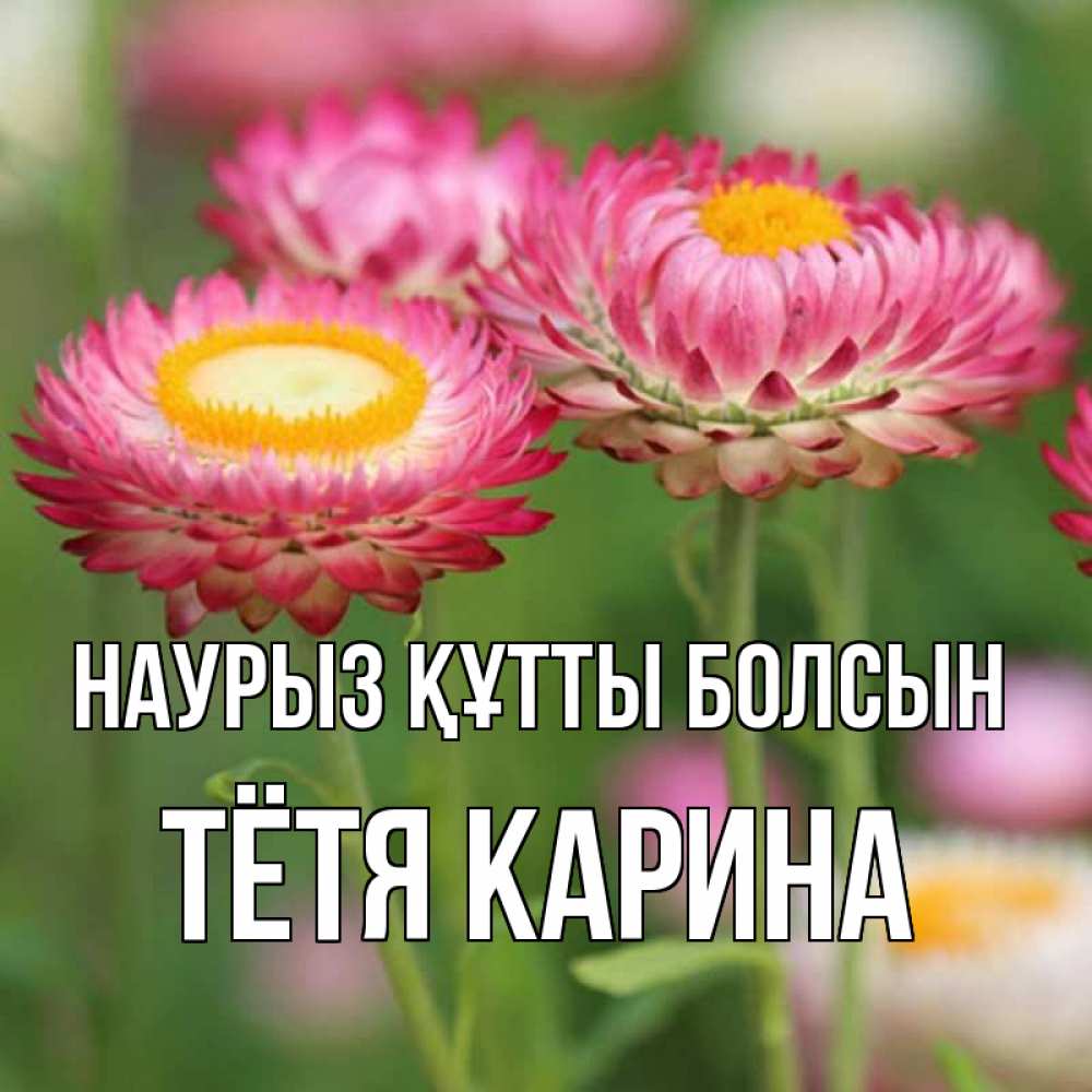 Открытка на каждый день с именем, Тётя-Карина Наурыз құтты болсын подарок на международный женский день Прикольная открытка с пожеланием онлайн скачать бесплатно 