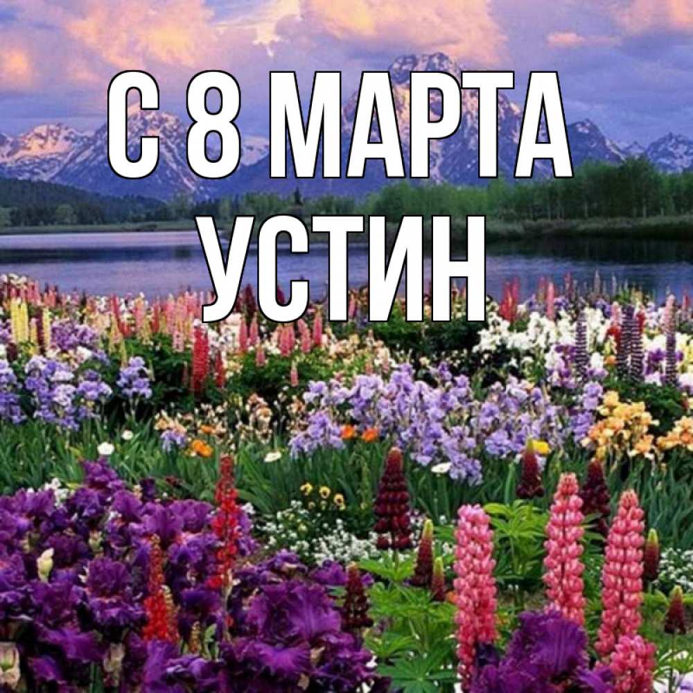 Открытка на каждый день с именем, Устин С 8 МАРТА международный женский день Прикольная открытка с пожеланием онлайн скачать бесплатно 