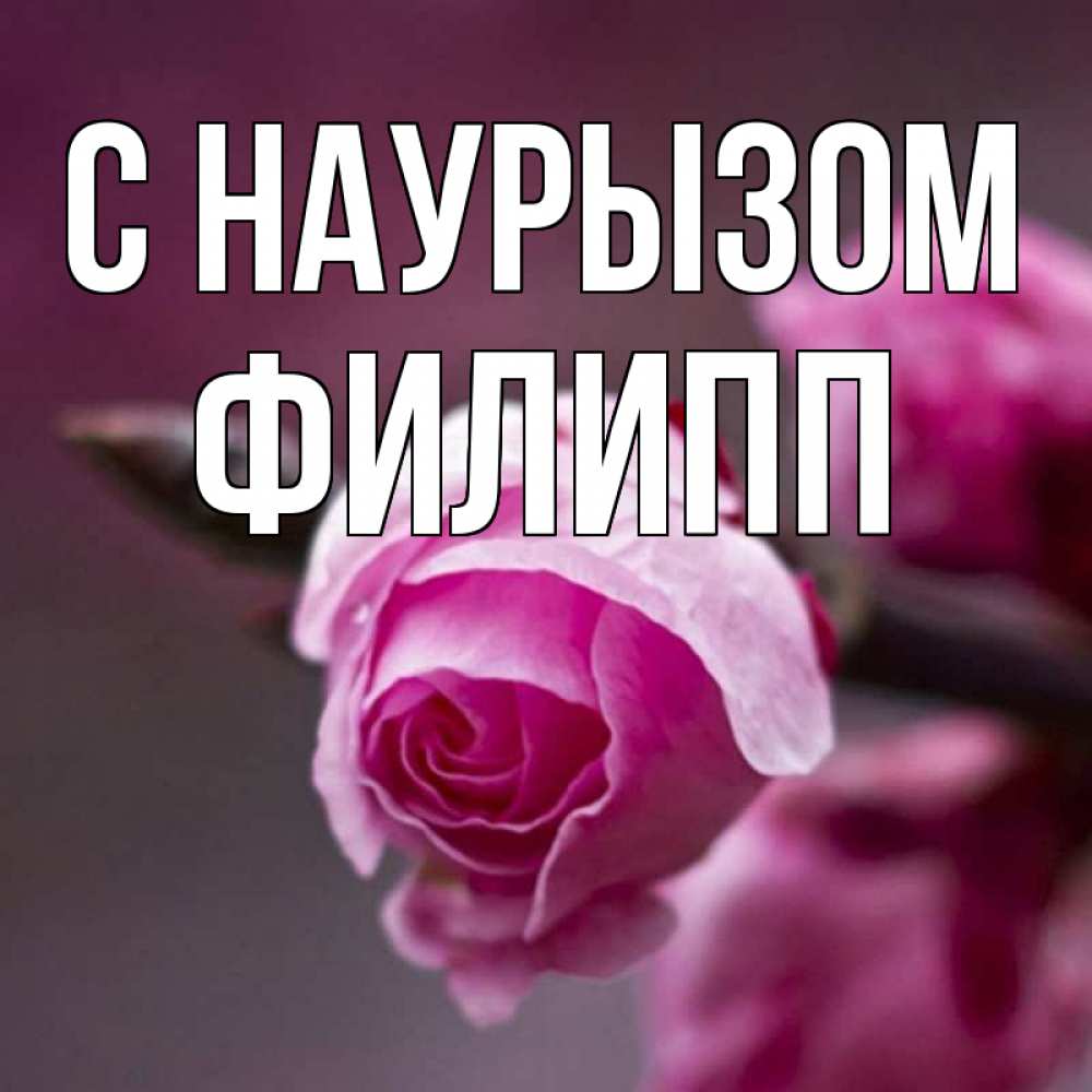 Открытка на каждый день с именем, Филипп С наурызом весна Прикольная открытка с пожеланием онлайн скачать бесплатно 