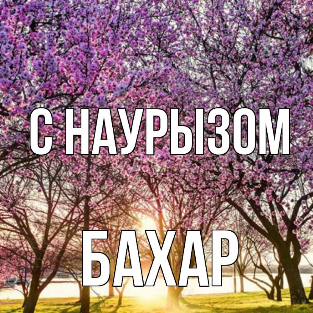 Картинка С наурызом, Бахар