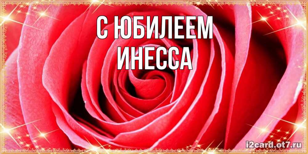 Открытка на каждый день с именем, Инесса С юбилеем розовая роза очень крупный бутон Прикольная открытка с пожеланием онлайн скачать бесплатно 