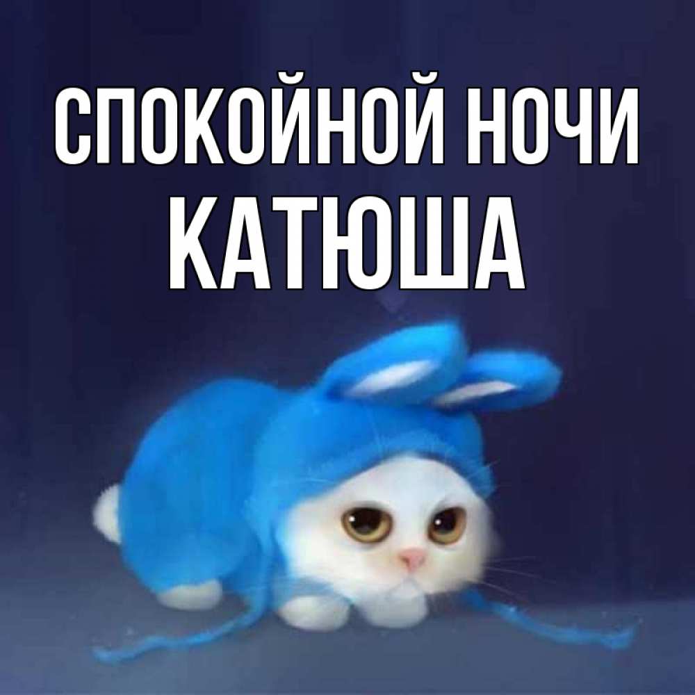 Спокойной ночи катюша картинки
